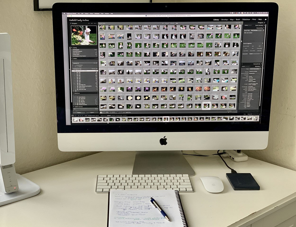 A neatly organized photo library on a computer screen
